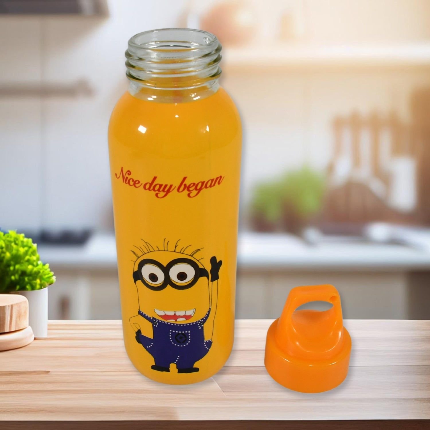 PORTABLE GLASS WATER BOTTLE, CREATIVE GLASS BOTTLE WITH GLASS WATER ( Mix Design) - Image 4