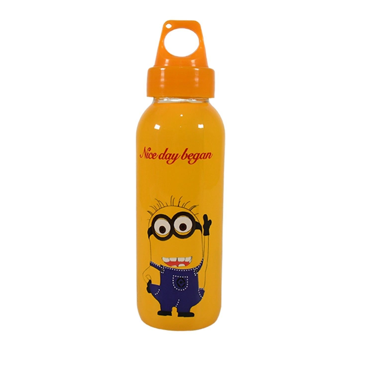 PORTABLE GLASS WATER BOTTLE, CREATIVE GLASS BOTTLE WITH GLASS WATER ( Mix Design) - Image 5
