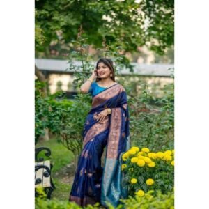 Generic Women's Katan_Silk Zari_Weaving Saree With Unstitched Blouse 5.5Mtr (Navy_Blue)