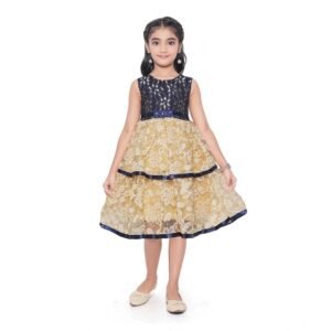 Generic Girl's Fancy Net Net Sleeve Less Round Neck Dress (Blue)