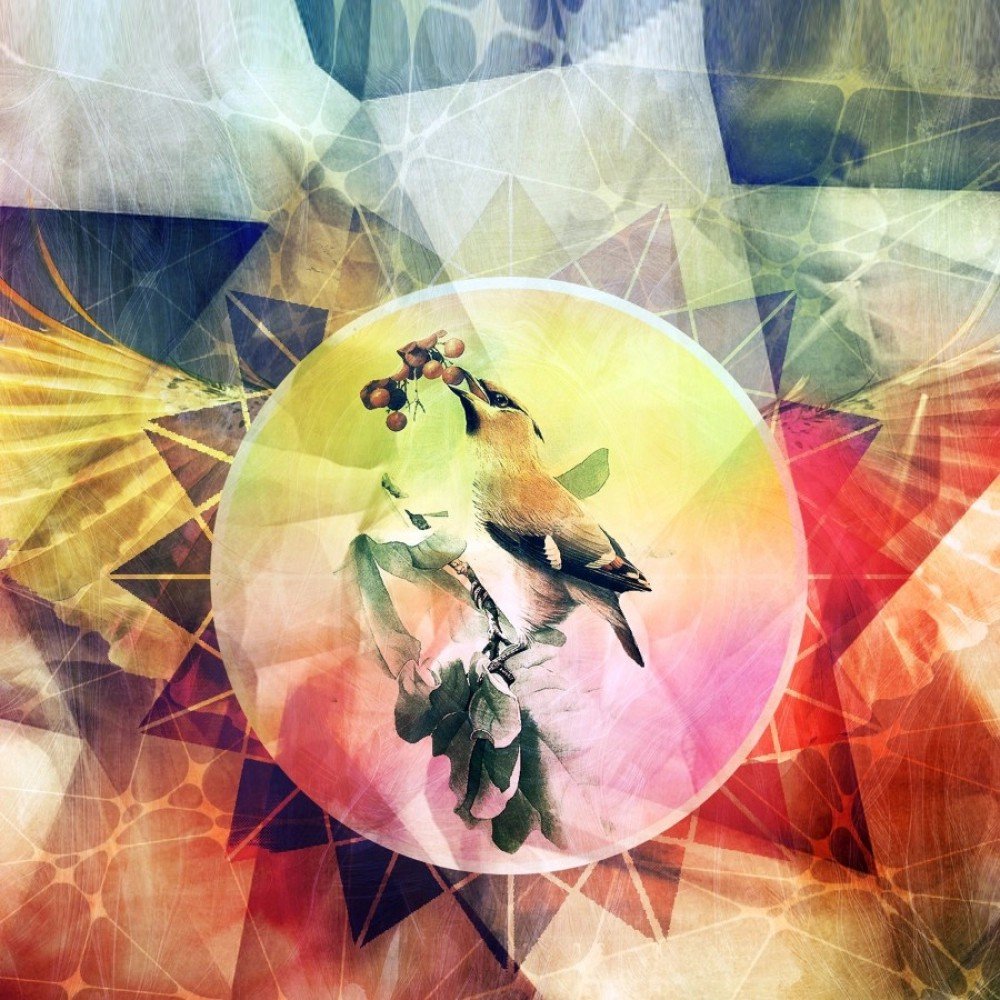 Colorful Texture with Bird Mobile case cover - Image 2